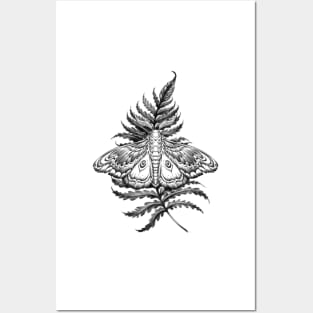Moth on fern Posters and Art